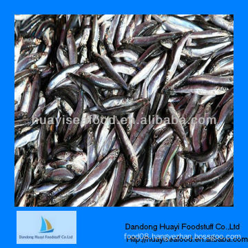 Fresh frozen seafood frozen sardine